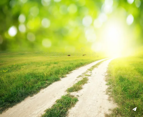 Chemin de campagne ensoleillé